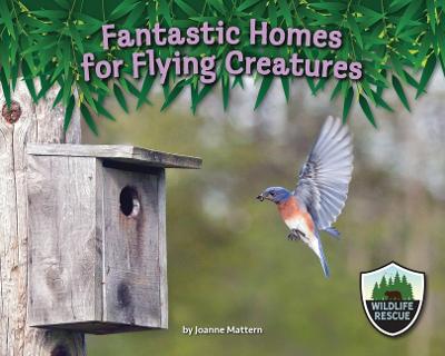 Book cover for Fantastic Homes for Flying Creatures