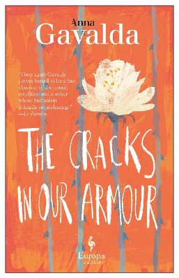 Book cover for The Cracks in Our Armour