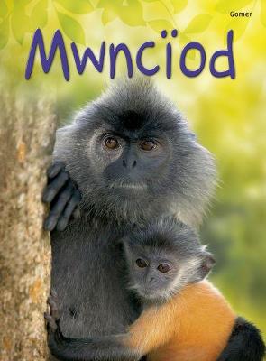 Book cover for Cyfres Dechrau Da: Mwnciod