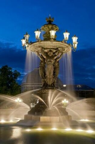 Cover of The Bartholdi Fountain at Night in Washington D C