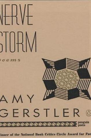 Cover of Nerve Storm