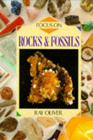 Cover of Focus on Rocks and Fossils
