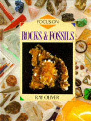 Book cover for Focus on Rocks and Fossils