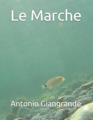 Book cover for Le Marche