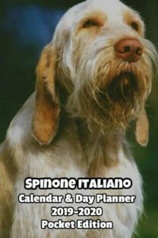 Cover of Spinone Italiano Calendar & Day Planner 2019-2020 Pocket Edition