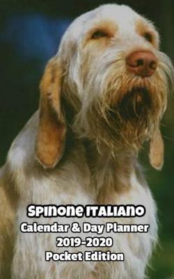 Book cover for Spinone Italiano Calendar & Day Planner 2019-2020 Pocket Edition