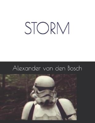 Book cover for Storm