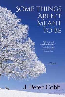 Book cover for Some Things Aren't Meant to Be