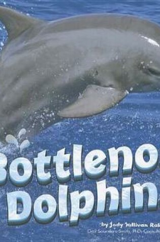 Cover of Bottlenose Dolphins