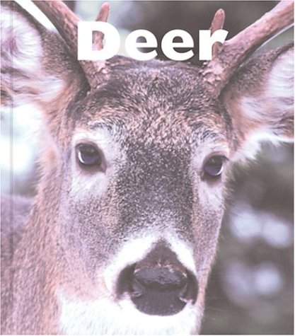 Book cover for Deer