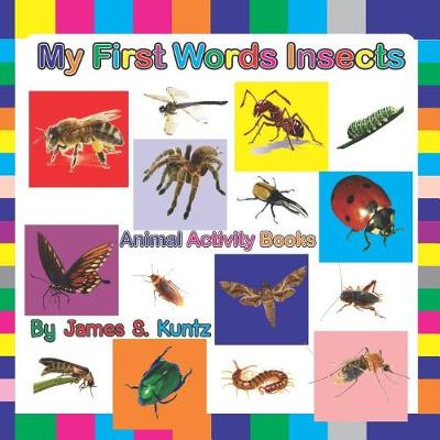 Book cover for My First Words Insects