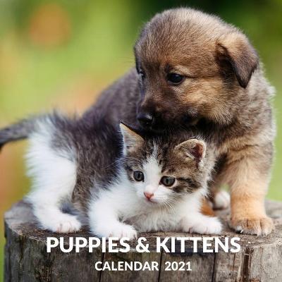 Book cover for Puppies & Kittens Calendar 2021