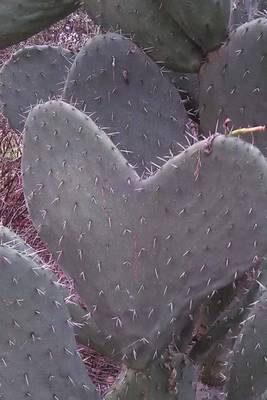 Book cover for Beautiful Cactus Heart