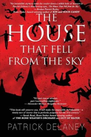 Cover of The House that fell from the Sky