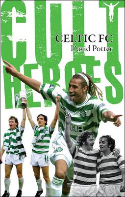 Book cover for Celtic Cult Heroes