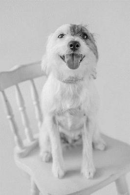 Book cover for Dog on Chair Notebook