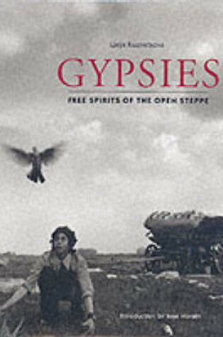 Cover of Gypsies: Free Spirits of the Open Steppe