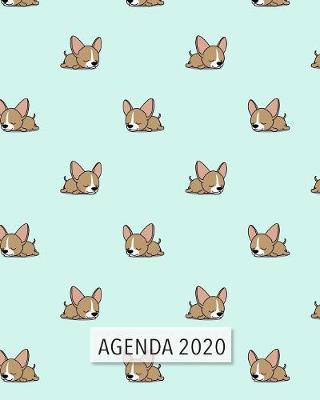 Book cover for Agenda 2020