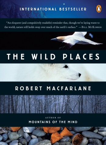 Book cover for The Wild Places