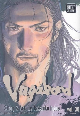 Book cover for Vagabond, Vol. 30