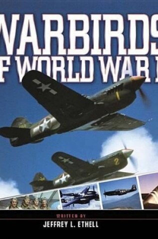 Cover of Warbirds of World War II