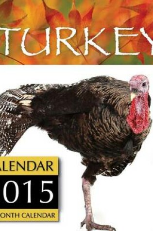 Cover of Turkey Calendar 2015