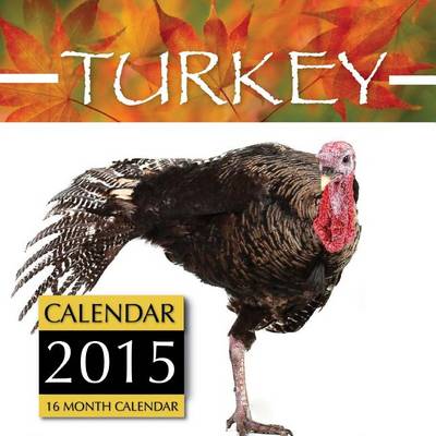 Book cover for Turkey Calendar 2015