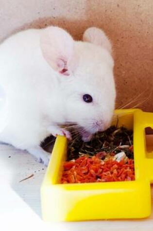 Cover of A Chinchilla Chows Down Journal