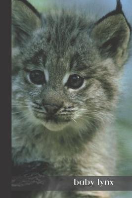 Book cover for Baby Lynx