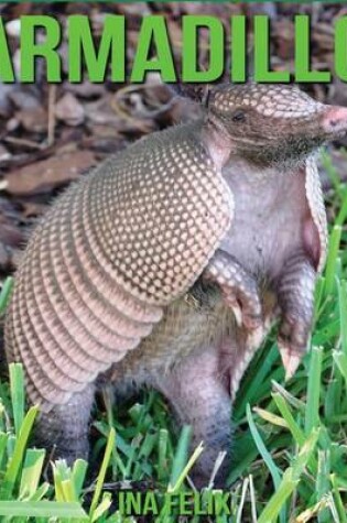 Cover of Armadillo