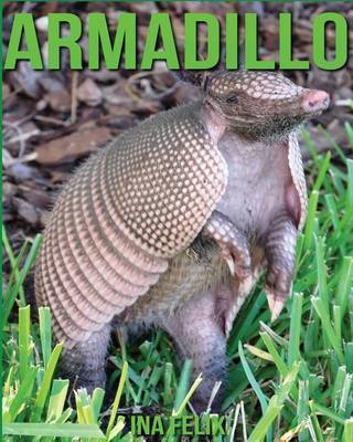 Book cover for Armadillo