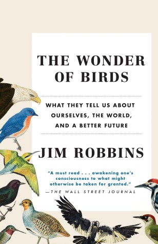 Book cover for The Wonder of Birds