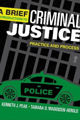 Cover of A Brief Introduction to Criminal Justice