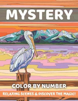 Book cover for Mystery Color By Number Relaxing Scenes & Discover The Magic!