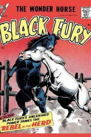 Cover of Black Fury # 9