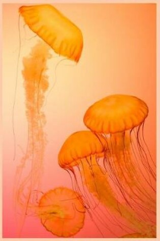 Cover of Jellyfish Notebook