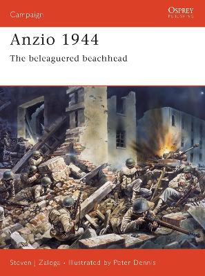 Book cover for Anzio 1944