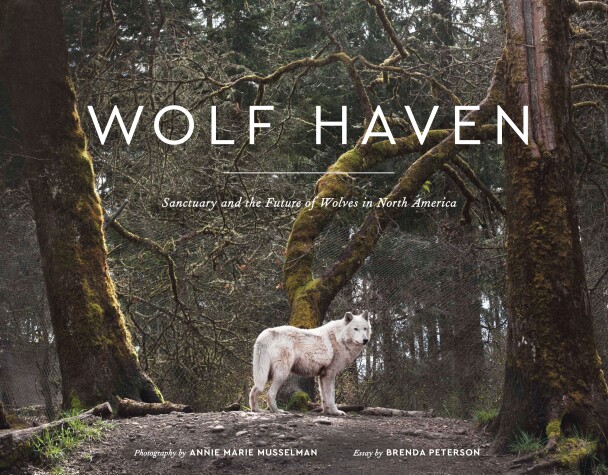 Book cover for Wolf Haven