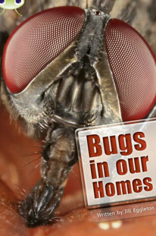 Cover of Bug Club Independent Non Fiction Year Two Lime A Bugs in our Homes