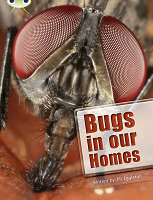 Cover of Bug Club Independent Non Fiction Year Two Lime A Bugs in our Homes