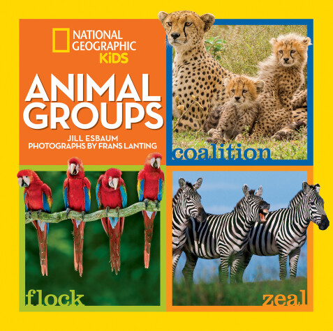 Book cover for Animal Groups