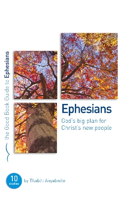 Book cover for Ephesians: God's Big Plan for Christ's New People