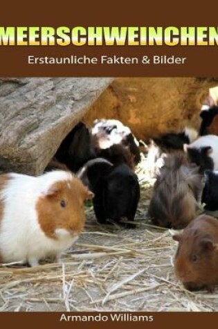 Cover of Meerschweinchen