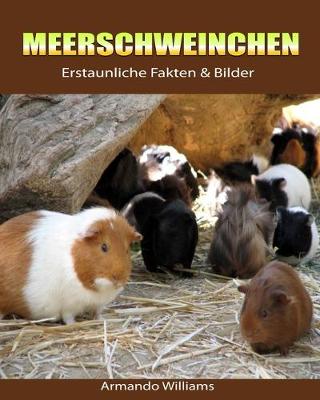 Book cover for Meerschweinchen