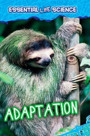 Cover of Adaptation