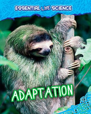 Book cover for Adaptation