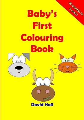 Book cover for Baby's First Colouring Book