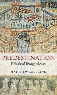 Book cover for Predestination