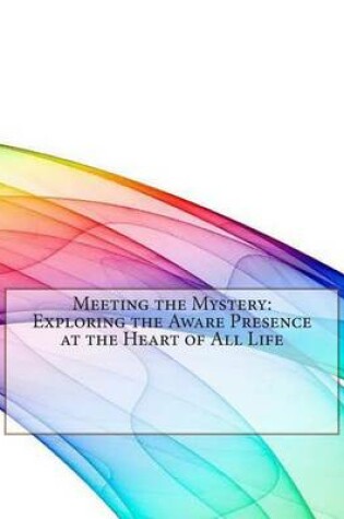 Cover of Meeting the Mystery