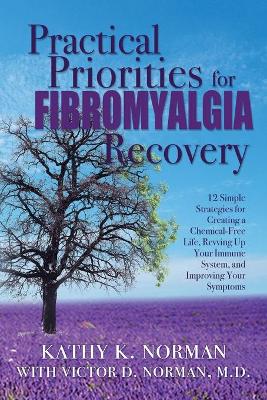 Book cover for Practical Priorities for Fibromyalgia Recovery